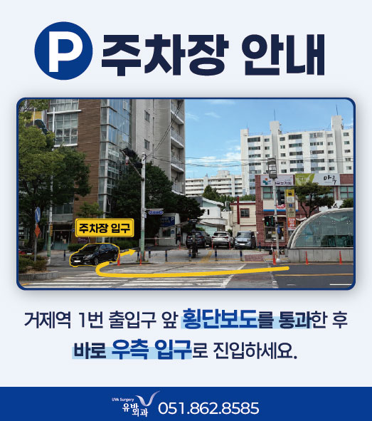 샘플