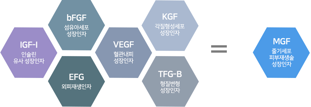 줄기세포피부재생술 설명