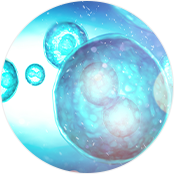 유도만능줄기세포